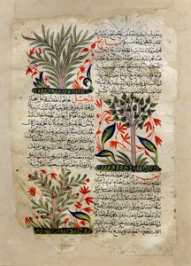 Illustrations